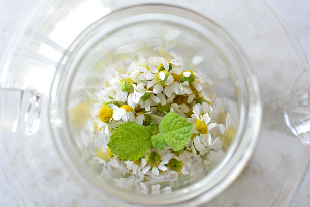 Chamomile Flowers and Mint