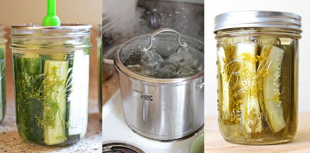 The PERFECT recipe for small batch crunchy canned dill pickles! Complete with tips on how to can, how to make them look beautiful in the jar, and how get that coveted pickle "crunch!" | simpleseasonal.com