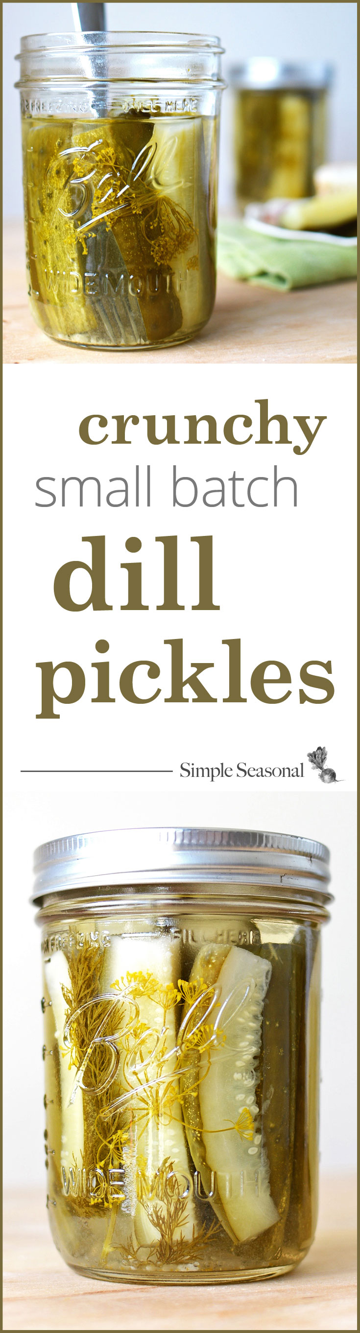 Small Batch Crunchy Canned Dill Pickles Simple Seasonal