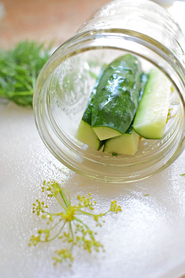 The PERFECT recipe for small batch crunchy canned dill pickles! Complete with tips on how to can, how to make them look beautiful in the jar, and how get that coveted pickle "crunch!" | simpleseasonal.com
