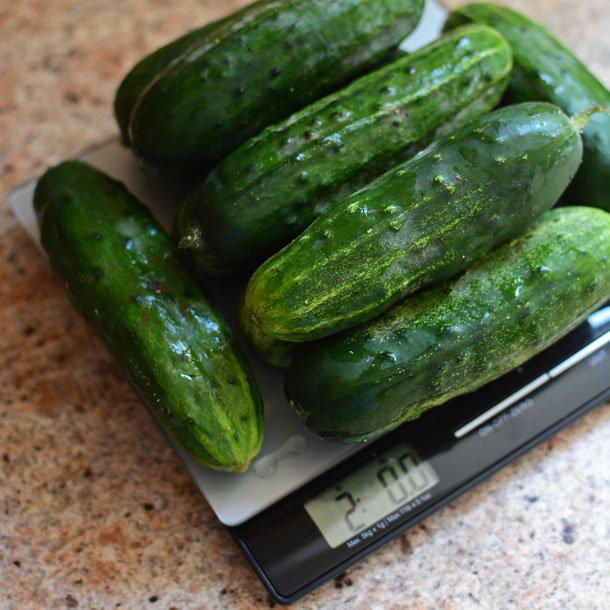 Two Pounds of Pickling Cucumbers