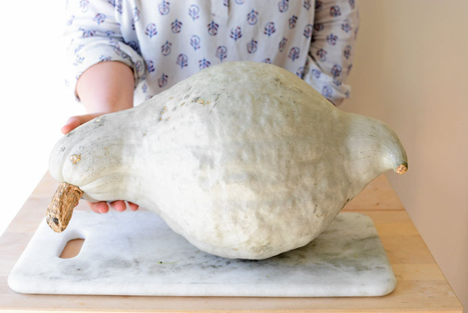 Blue Hubbard Squash on a table