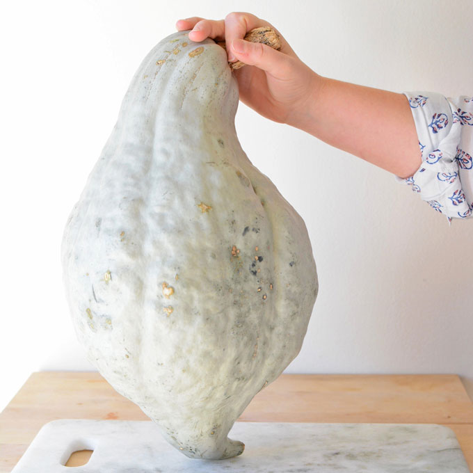 About Blue Hubbard Squash