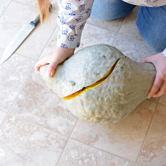 Pounding Blue Hubbard Squash on the Hard Ground