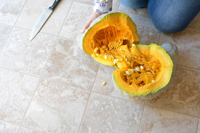 Inside of a Blue Hubbard Squash