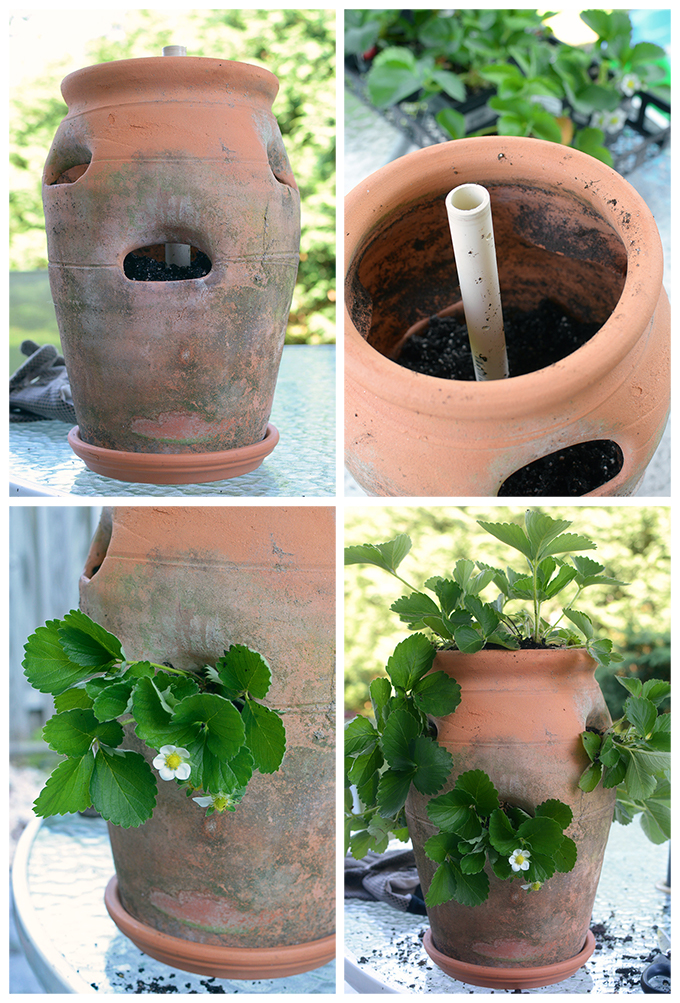 Details about   Strawberry Planting Felt Cloth Planter Pot 