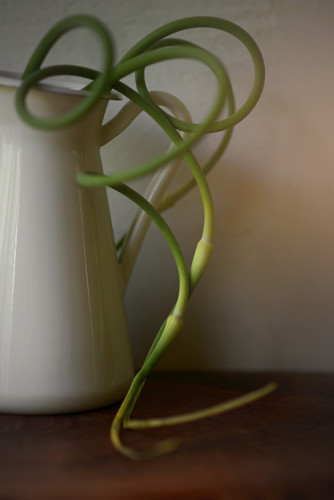 All About Garlic Scapes