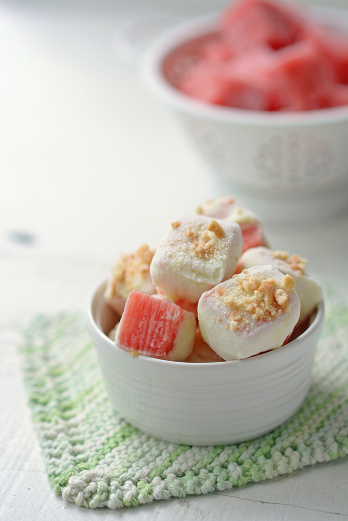 Frozen Watermelon and Lime Yogurt Bites