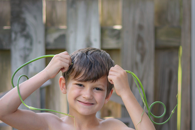 Strange Garlic Scapes