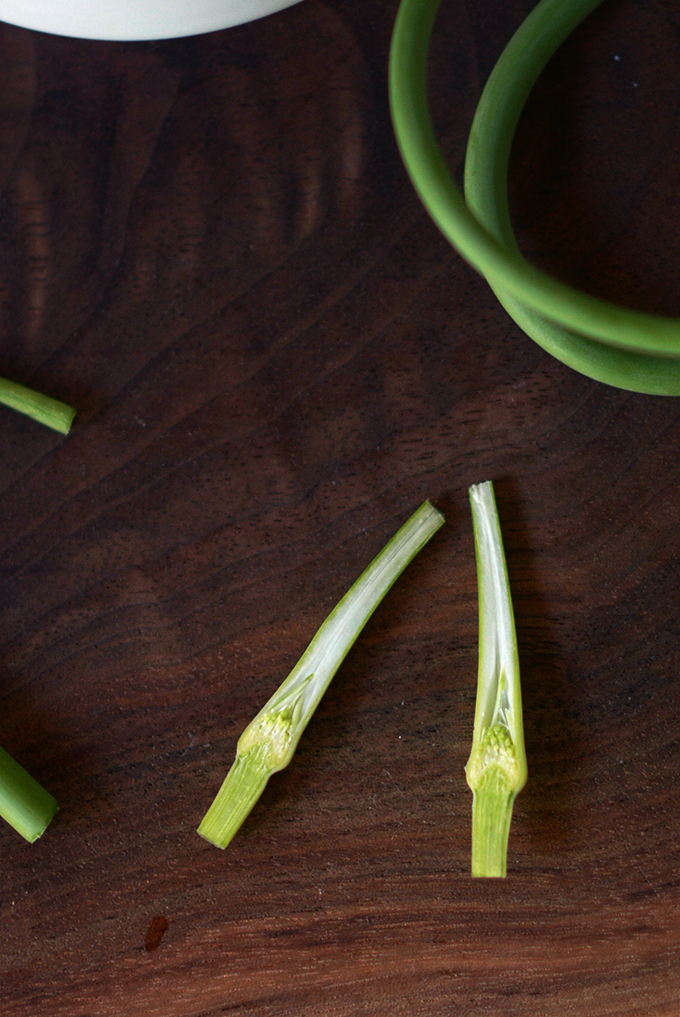 Inside of Garlic Scape Bud