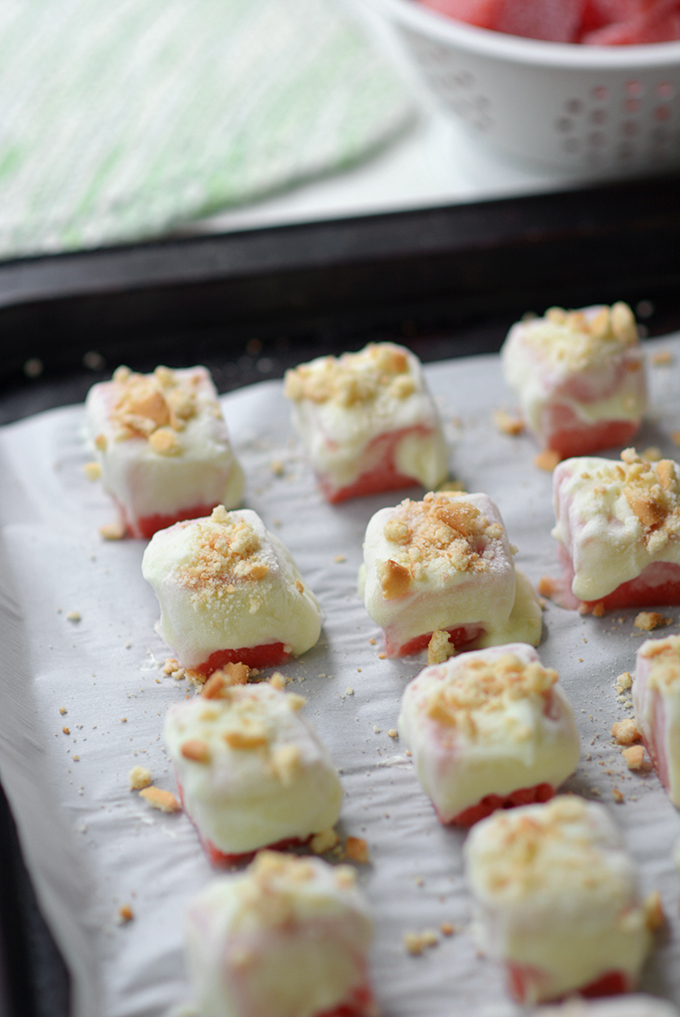 Frozen Watermelon and Lime Yogurt Bites