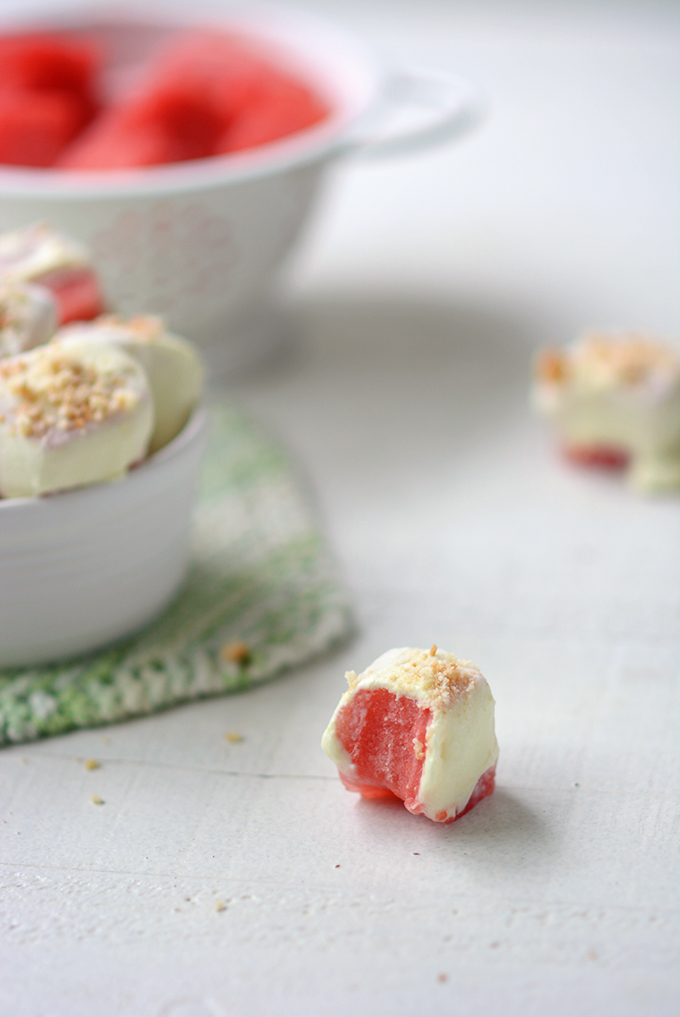 Frozen Watermelon and Lime Yogurt Bites