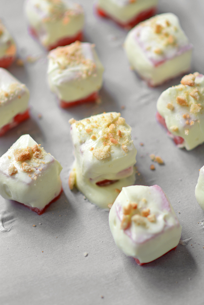 Frozen Watermelon and Lime Yogurt Bites