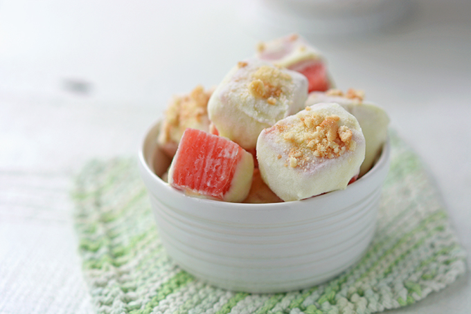 Frozen Watermelon and Lime Yogurt Bites