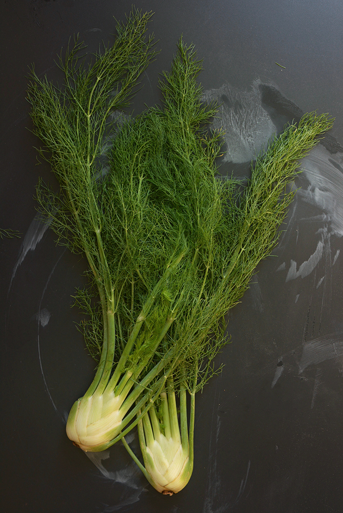 Fennel