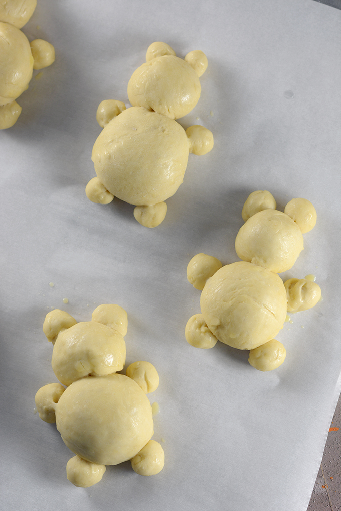 Honey Bear Dinner Rolls Ready to Bake