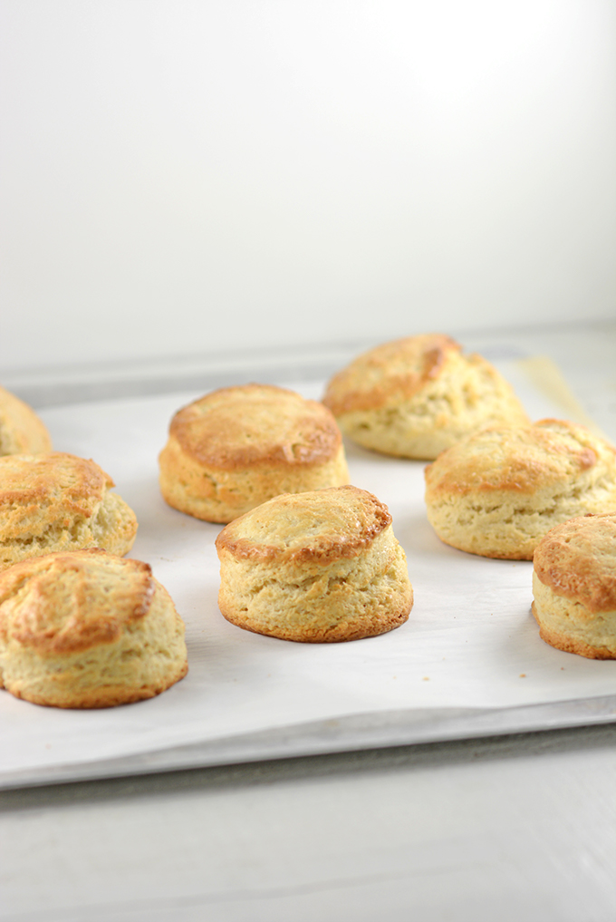 English Style Scones on Baking Sheet