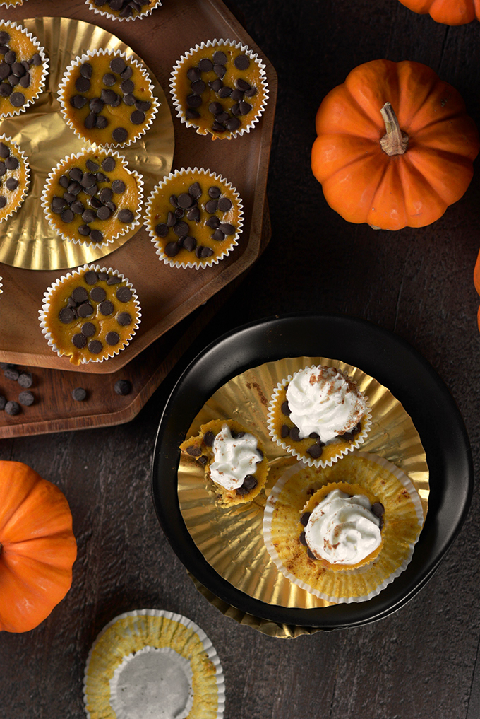 Pumpkin Chocolate Chip Cheesecake Bites