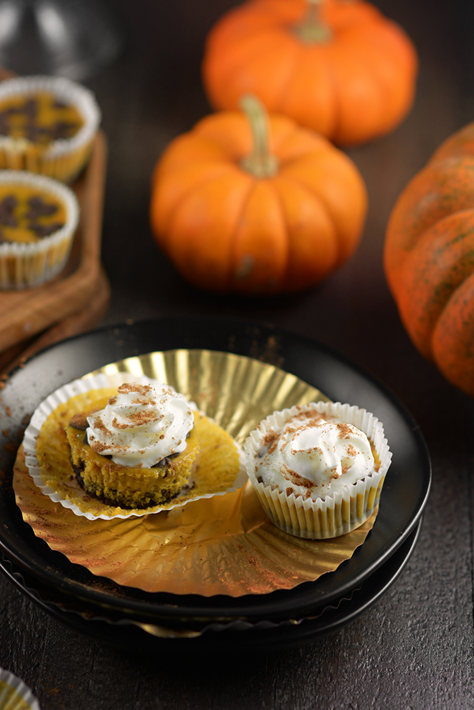 Pumpkin Chocolate Chip Cheesecake Bites