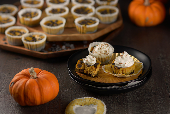 Pumpkin Chocolate Chip Cheesecake Bites