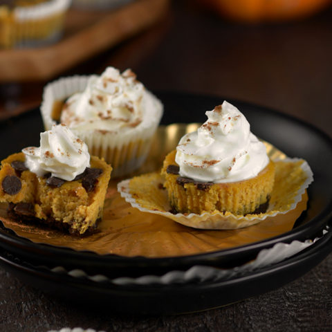 Pumpkin Chocolate Chip Cheesecake Bites