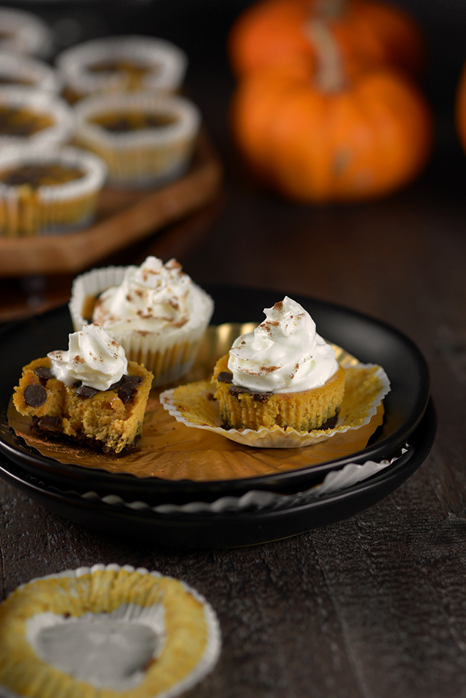 Pumpkin Chocolate Chip Cheesecake Bites